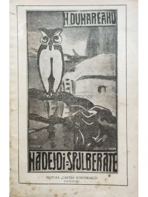 N. Dunareanu - Nadejdi spulberate (editia 1928) foto