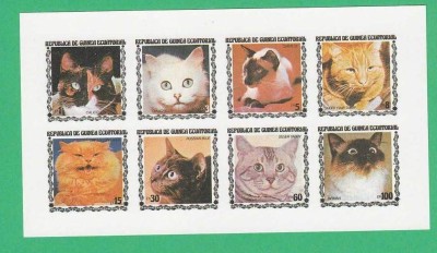 Eq. Guinea 1975 Cats - unused imperforated block F.020 foto