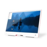 Display Raspberry Pi 10.1 inch, rosu si alb