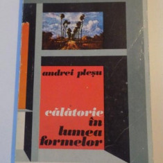 Andrei Pleșu - Călătorie în lumea formelor