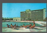 CPIB 17885 CARTE POSTALA - EFORIE SUD, HOTEL &quot;FLAMINGO&quot;