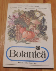 Botanica. Manual pentru clasa a V-a de Alexandru Dabija, Emil Sanielevici foto