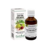 Extract din muguri de CASTAN SALBATIC, 50 ml, Plantextrakt