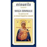 Minunile icoanei Maica Domnului &quot;Eu sunt cu voi si nimeni impotriva voastra&quot;. Traducere de Gheorghita Ciocioi