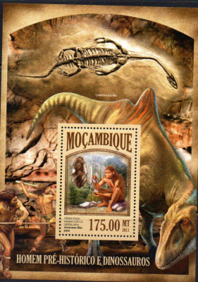 MOZAMBIC 2013 Fauna, serie neuzată, MNH foto