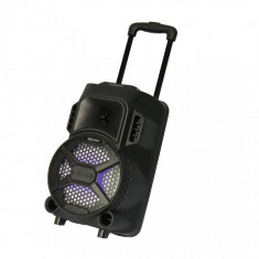 Boxa Portabila 100W PMPO Tip Troler, ZQS-8101 cu Microfon, Bluetooth, Radio FM foto