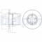 DELPHI BG2898 Disc frana