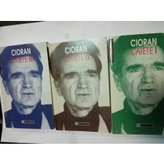 CIORAN - CAIETE - 3 volume
