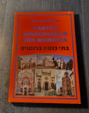 Cartea Sinagogilor din Romania Tesu Solomovici