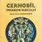 CERNOBIL TRAGEDIA VEACULUI (LA A 25-A COMEMORARE)-ISIDOR DOCTOREANU, ANDREI VICOLAS-328539