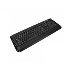 Tastatura Esperanza Multimedia USB EK111 Black foto