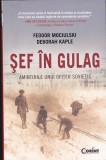 AS - FEODOR MOCIULSKI, DEBORAH KAPLE - ȘEF &Icirc;N GULAG, AMINTIRILE UNUI OFIȚER SOVIETIC (CU SUBLINIERI)