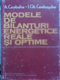 MODELE DE BILANTURI ENERGETICE REALE SI OPTIME-A. CARABULEA, I. GH. CARABOGDAN