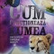 Clive Gifford - Cum functioneaza lumea (editia 2013)