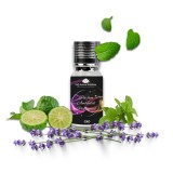 Cumpara ieftin Ulei Parfum CKO 10ml, Esenta Concentrata Luxoasa, Neutralizeaza Mirosuri, Compatibil Difuzor Auto/Uleiuri Esentiale, Standarde EU