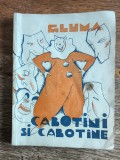 Caminul meu - Clementina Ungureanu , 1930 / R2P2S
