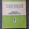 LIMBA ENGLEZA MANUAL PENTRU ANUL II DE STUDIU - Ionici, Galateanu-Farnoaga