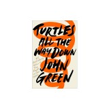 Turtles All the Way Down
