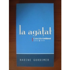 Nadine Gordimer - La agatat (Colectia Cotidianul)