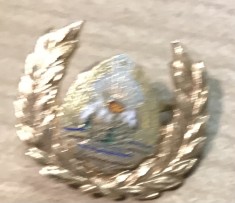 Insigna 0001 Stema Chipiu Militar foto