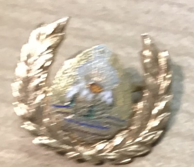 Insigna Chipiu semn militar foto