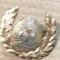 Insigna 0001 Stema Chipiu Militar