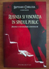 Rusinea si vinovatia in spatiul public... / Septimiu Chelcea (coord.) foto