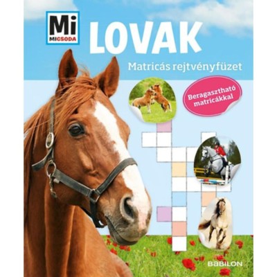 Mi MICSODA Matric&amp;aacute;s rejtv&amp;eacute;nyf&amp;uuml;zet - Lovak - Beragaszthat&amp;oacute; matric&amp;aacute;kkal foto