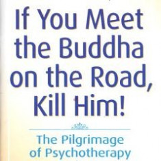 If You Meet the Buddha on the Road, Kill Him: The Pilgrimage of Psychotherapy Patients