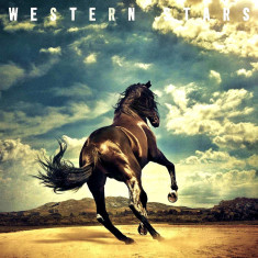 Bruce Springsteen Western Stars LP (2vinyl)