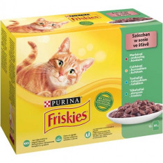 Friskies Cat Plic 12 x 85 g Vita Pui Somon foto