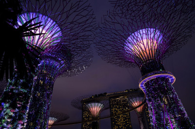Fototapet Parc Singapore 2, 200 x 150 cm foto