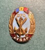 Insigna AVSAP RPR