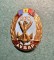 Insigna AVSAP RPR - 1