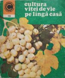 Cultura Vitei de Vie pe Langa Casa - Avram D. Tudosie, Ceres 1980, Agronomie, Viticultura, Carte Tehnica