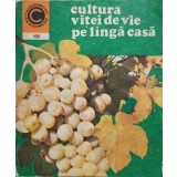 CULTURA VITEI DE VIE PE LANGA CASA-AVRAM D. TUDOSIE-197928