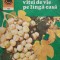 CULTURA VITEI DE VIE PE LANGA CASA-AVRAM D. TUDOSIE-197928