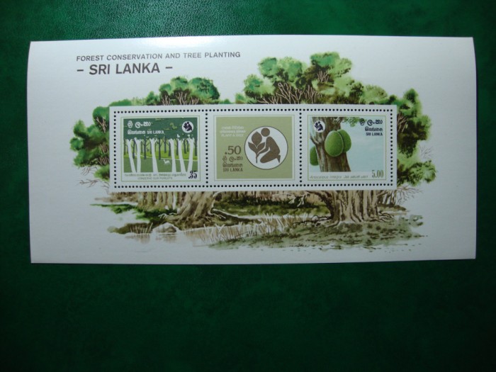 SRI LANKA 1981 BLOC MNH
