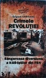 Grigore Cartianu - Crimele revolutiei. Sangeroasa diversiune a KGB-istilor din