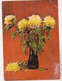 Bnk cp Felicitare - Flori - 477/73 - circulata - marca fixa