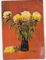 bnk cp Felicitare - Flori - 477/73 - circulata - marca fixa