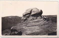 bnk foto - Bucegi - Pe Babele - 1957 foto