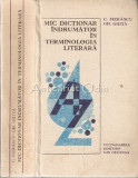 Mic Dictionar Indrumator In Terminologia Literara - Gh. Ghita, C. Fierascu