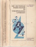 Cumpara ieftin Mic Dictionar Indrumator In Terminologia Literara - Gh. Ghita, C. Fierascu