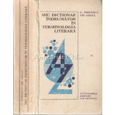 Mic Dictionar Indrumator In Terminologia Literara - Gh. Ghita, C. Fierascu