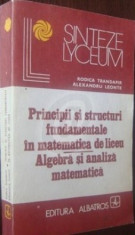 Principii si structuri fundamentale in matematica. Algebra si analiza matematica foto