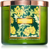 Bath &amp; Body Works Greenhouse Fern lum&acirc;nare parfumată 411 g