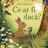 Ce-ar fi daca? - Britta Teckentrup, Corint Junior, Editie in limba romana