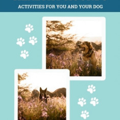 Happy and Healthy Hounds: Activities for You and Your Dog