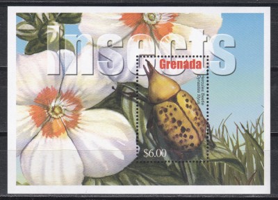 Grenada 2002 - Flori si Insecte, Colita, MNH foto